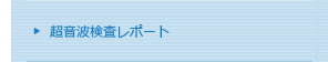 超音波レポート