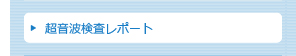 超音波検査レポート